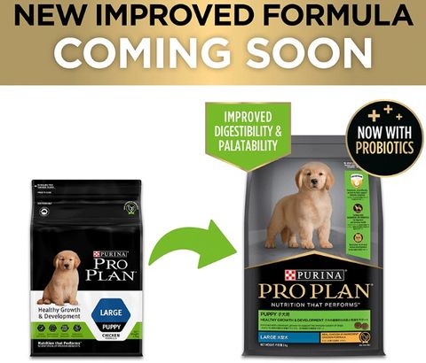 Proplan Dog Puppy Large Breed Healthy Growth 15kg