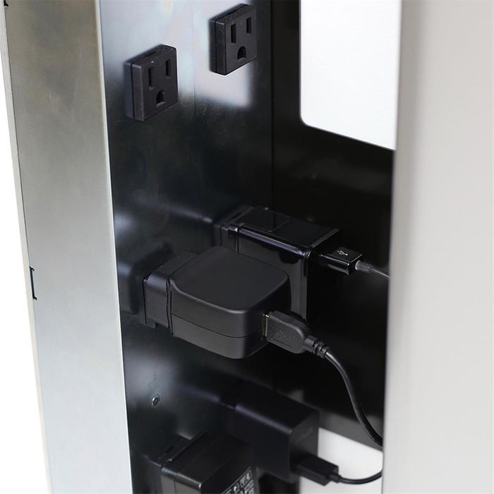 ERGOTRON ZIP12 CHARGING WALL CABINET