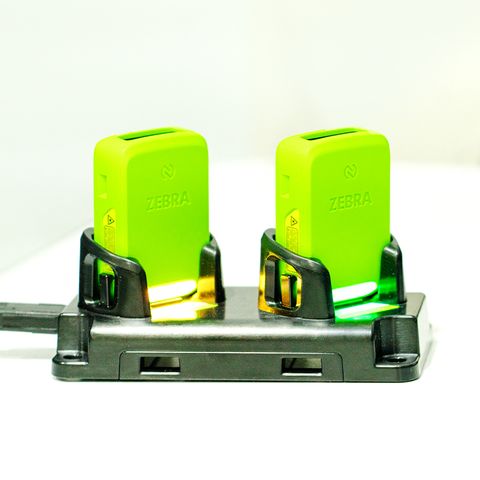 ZEBRA MULTIDOCK CHARGE ONLY 2-BAY RS2100
