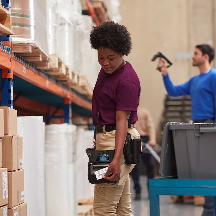 ZEBRA MOB ZQ630 PLUS DT 203DPI 4IN BT4/WLAN