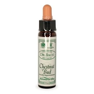 Martin and Pleasance Ainsworths Bach Flower (Chestnut Bud) - 10ml