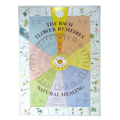 Martin and Pleasance Bach Flower Chart