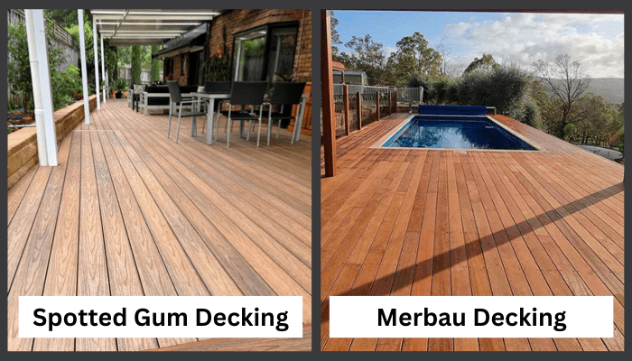 Spotted Gum vs Merbau – which is better for outdoor use?