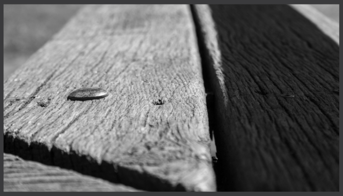 Why Your Spotted Gum Deck Cupped After Being Covered (and How to Fix It)