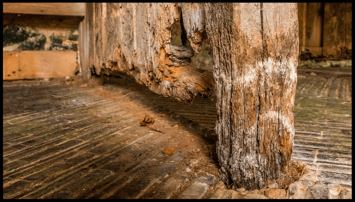 Severely rotted timber post showing structural damage and wood decay