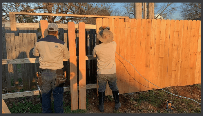 two workers installing hardwood fence palings in a backyard