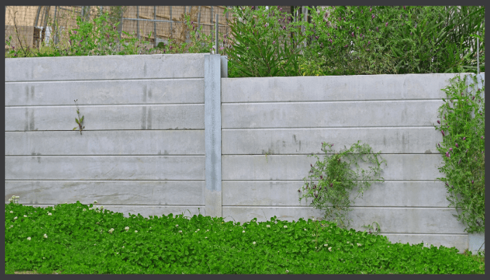 IMAGE (7).png