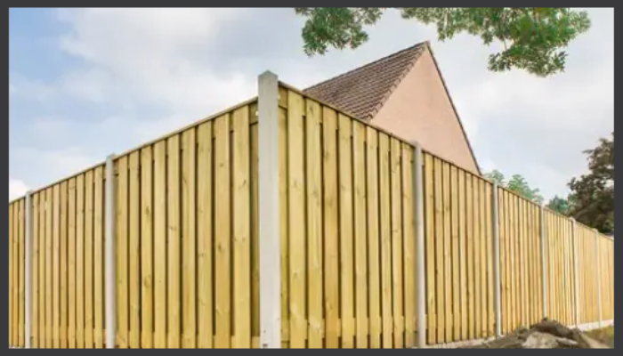IMAGE (7).png