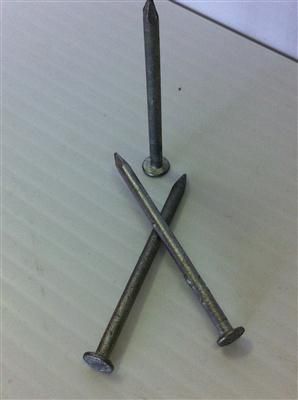 FLAT HEAD NAILS GALVANISED