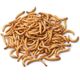 MEALWORMS