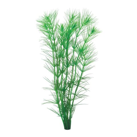 PINE NEEDLE  - HYDROTRICHE