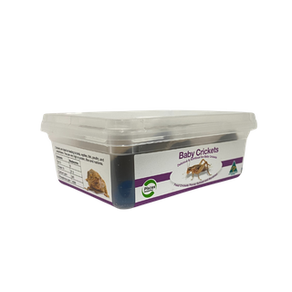 CRICKETS BABY - 200PLUS TUB