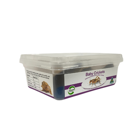 CRICKETS BABY - 200PLUS TUB