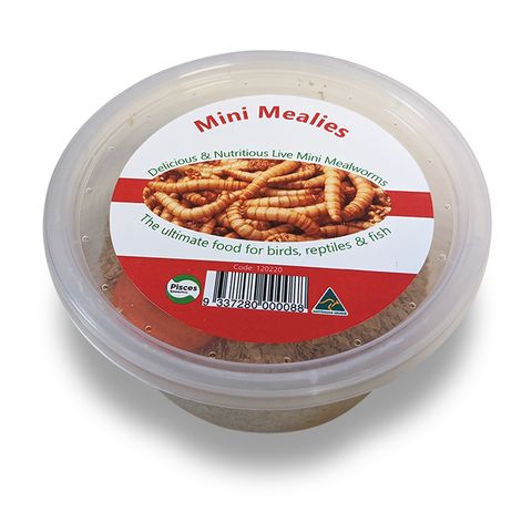 MINI MEALIES - 25G TUB