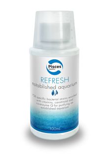 REFRESH 100ML - SINGLE