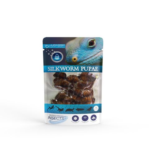 JN SILKWORM PUPAE 15G SINGLE