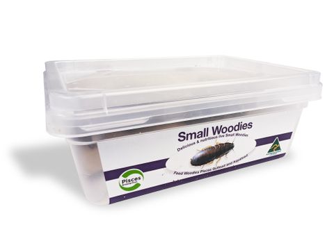 WOODIES SMALL - 50 TUB