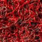 Freeze Dried Bloodworms 20g