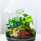 Aquarium Plant Toppers 6 Pack