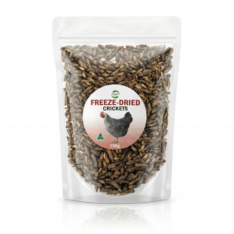 PISCES DRIED CRICKETS 250G