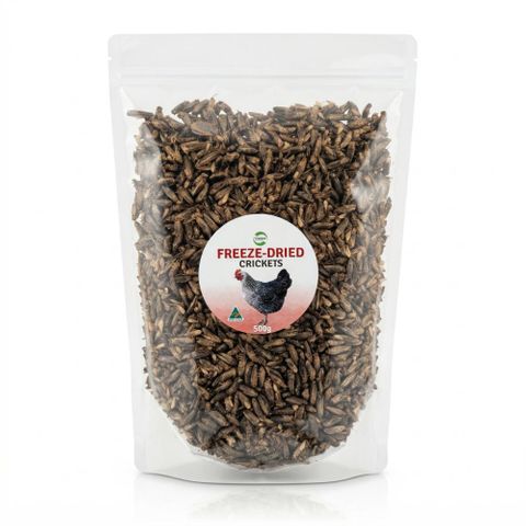 PISCES DRIED CRICKETS 500G