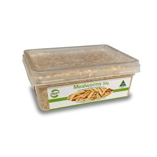 REGULAR MEALWORMS - 50G TUB