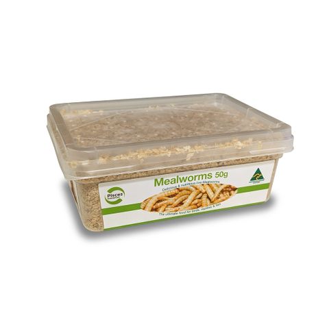 REGULAR MEALWORMS - 50G TUB