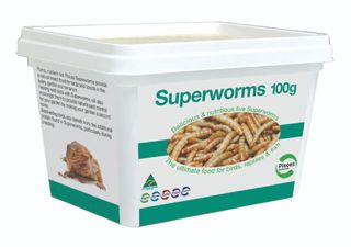 SUPERWORMS - 100G TUB