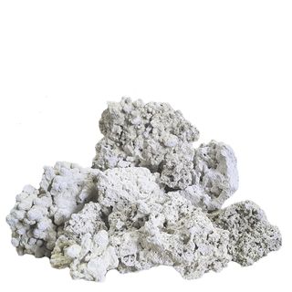 REEF ROCK