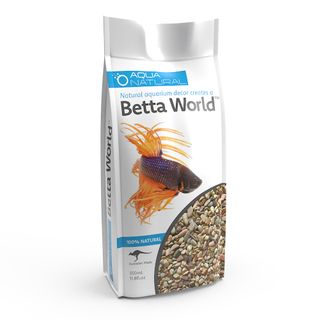 BETTA WORLD
