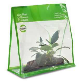 PISCES DW PLANT CREATIONS 2 GO SMALL