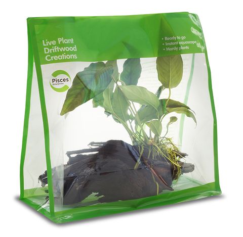 PISCES DW PLANT CREATIONS 2 GO MEDIUM