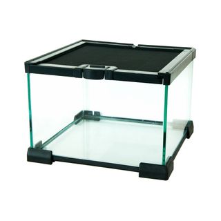 Komodo glass outlet terrarium