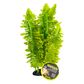 KOM BOSTON FERN 25CM