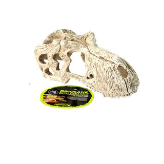 KOM T-REX SKULL SMALL