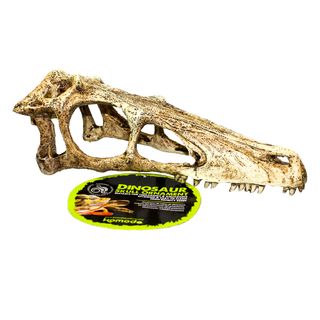 KOM RAPTOR SKULL SMALL