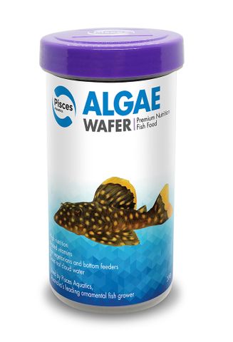 ALGAE WAFERS 200G - SINGLE