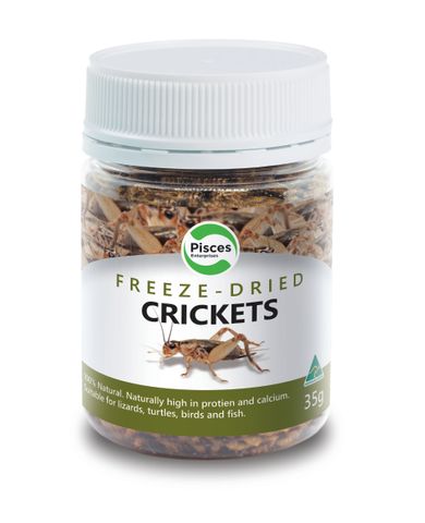 PISCES FREEZEDRIED CRICKETS JAR 35G