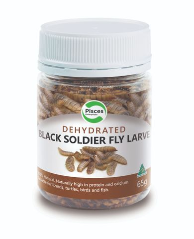 PISCES DRIED BLACKSOLDIER FLY LARVAE 40G