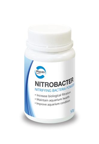 PA NITROBACTER POWDER 50G