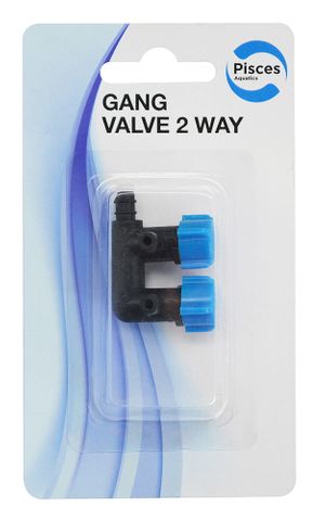 PA GANG VALVE 2 WAY 1pk