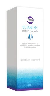 ESTABLISH 500ML - SINGLE