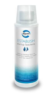 ESTABLISH 200ML - SINGLE