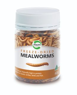 PISCES DRIED MEALWORMS JAR 35G