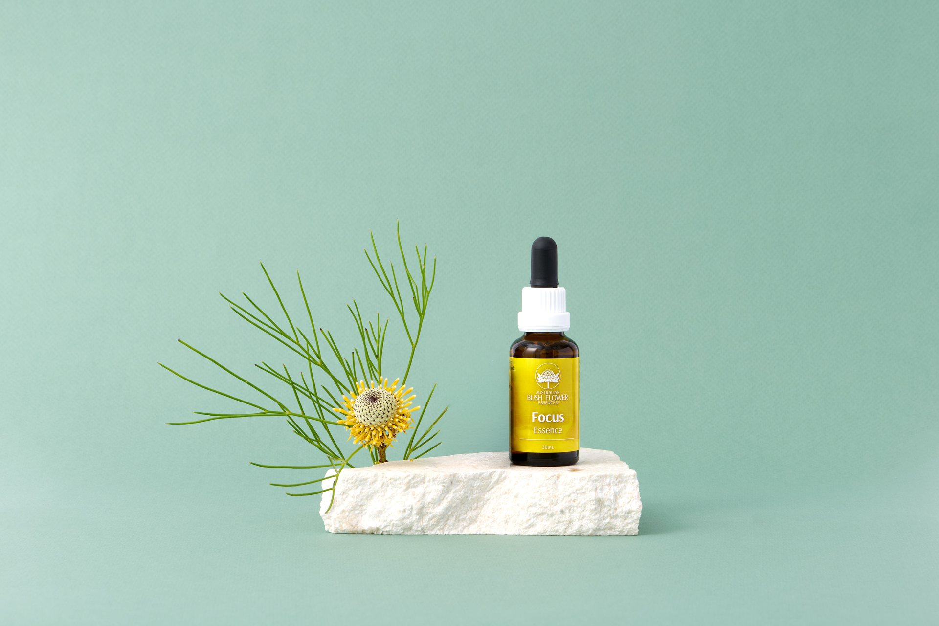 <p class='h6'>Calm & Clear + Focus Essence 30ml Drops</p><p class='h1'>Up to 15% off for exam season</p><div class='button-group'><a class='btn btn-primary' href='/tag/1-brand/value/23-australian-bush-flower-essences'>Order now</>