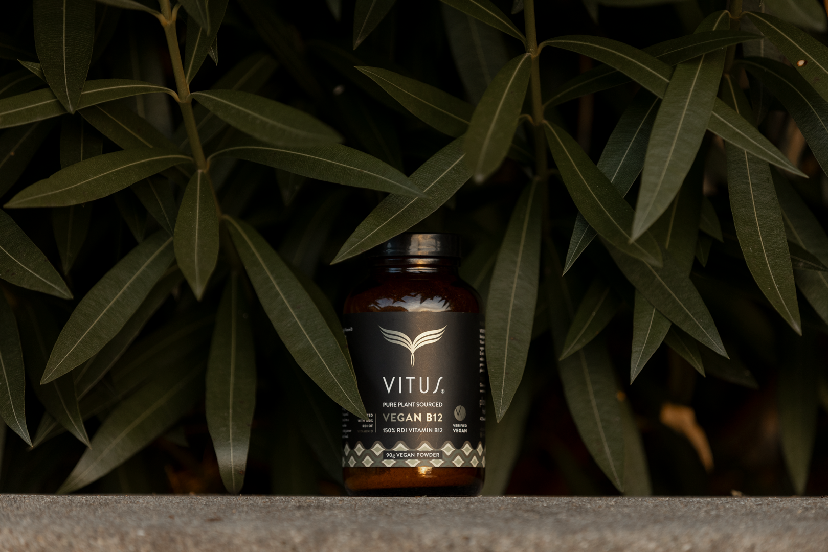 <p class='h6'>Vegan B12 powder 90g counter unit display available</p><p class='h1'>20% off 4 units or more</p><div class='button-group'><a class='btn btn-primary' href='/product/213-vegan-b12-90g-powder'>Order now</a></div>