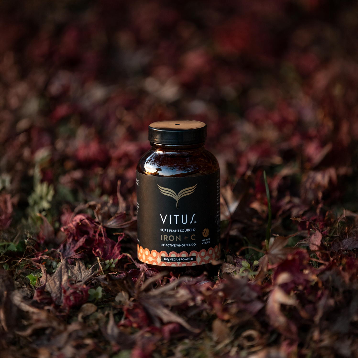 <p class='h6'>100% Natural Wholefood Nutrition</p><p class='h1'>4 less 20% on any one Vitamin C, Immune-D or Iron + C product or size</p><div class='button-group'><a class='btn btn-primary' href='/tag/1-brand/value/2-vitus'>Order now</a></div>