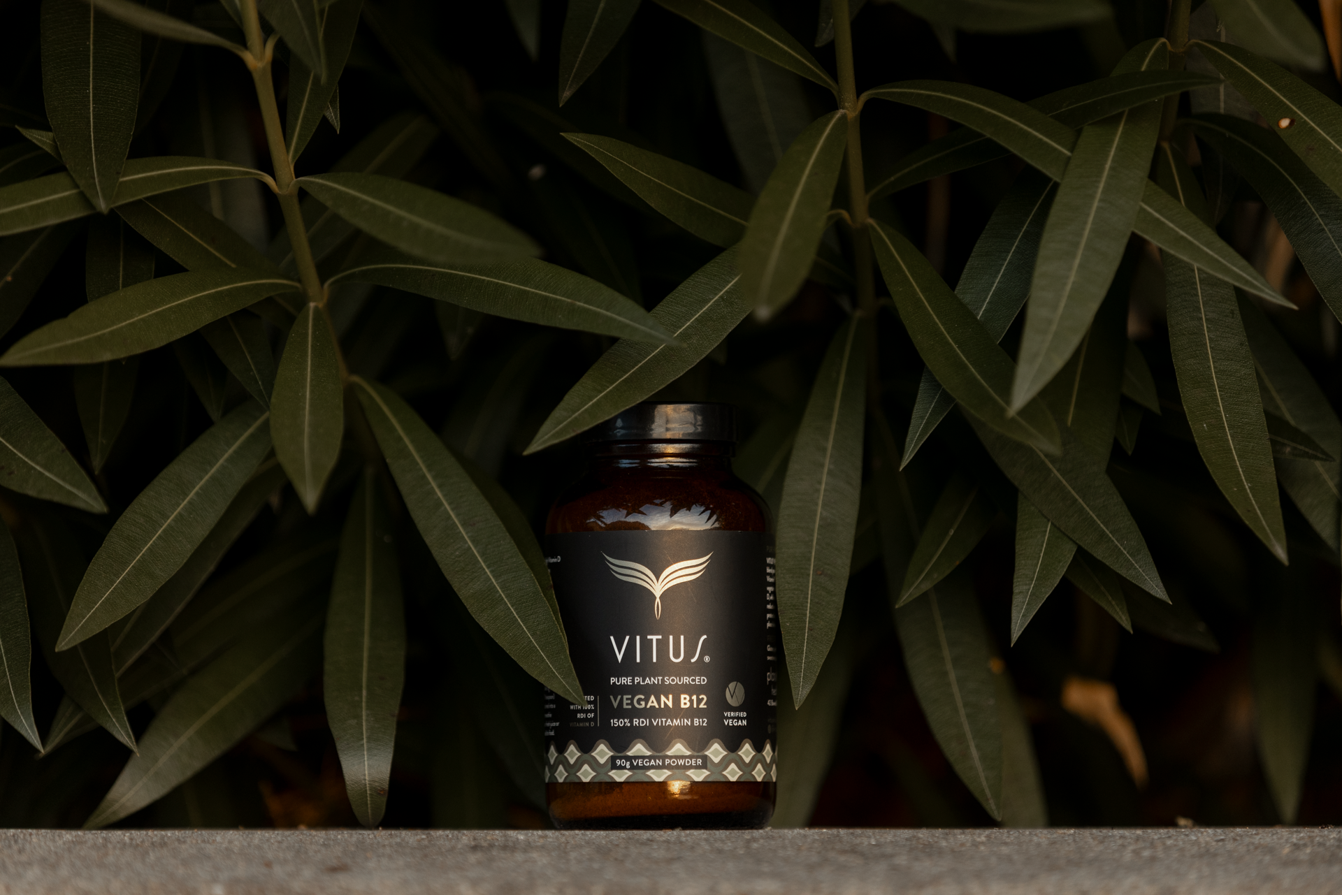 <p class='h6'>Real wholefood Vegan B12</p><p class='h1'>4 less 25% Vegan B12 90g Powder</p><div class='button-group'><a class='btn btn-primary' href='/product/213-vegan-b12-90g-powder'>Order now</a></div>