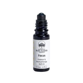 FOCUS ROLL-ON 10ML