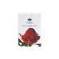 FLOWER INSIGHT CARDS (PACK OF 69 CARDS)